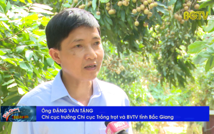 X&acirc;y dựng v&ugrave;ng trồng Nh&atilde;n đảm bảo xuất khẩu