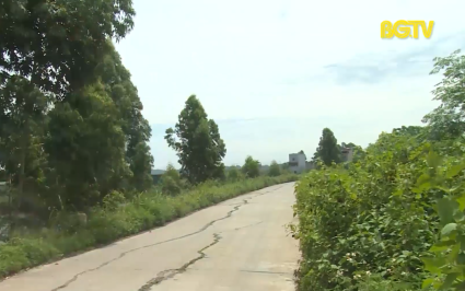 Xử l&yacute; nghi&ecirc;m vi phạm đ&ecirc; điều v&agrave; ph&ograve;ng, chống thi&ecirc;n tai