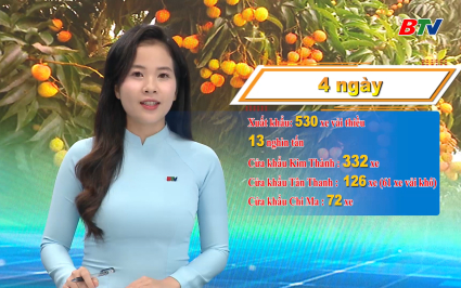 Xuất khẩu 530 xe vải thiều sang Trung Quốc trong 4 ng&agrave;y