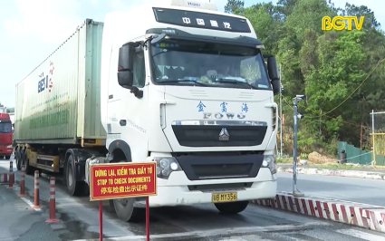 Xuất khẩu vải thiều qua Lạng Sơn tăng 