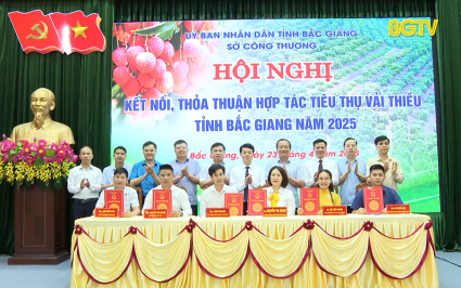 X&uacute;c tiến C&ocirc;ng thương: Đẩy mạnh hoạt động x&uacute;c tiến ti&ecirc;u thụ vải thiều