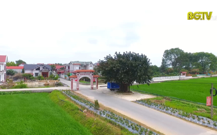 Y&ecirc;n Dũng n&acirc;ng cao chất lượng chương tr&igrave;nh n&ocirc;ng th&ocirc;n mới