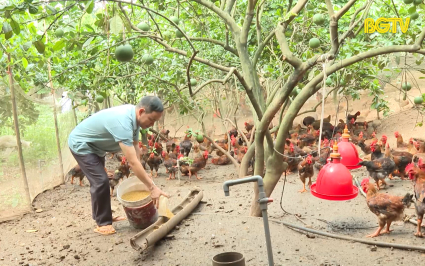 Y&ecirc;n Thế duy tr&igrave; v&ugrave;ng an to&agrave;n dịch bệnh c&uacute;m gia cầm 