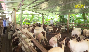 Y&ecirc;n Thế ph&aacute;t triển n&ocirc;ng nghiệp h&agrave;ng h&oacute;a tập trung