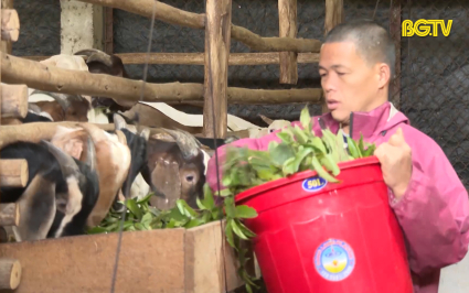 Y&ecirc;n Thế: Lan toả phong tr&agrave;o n&ocirc;ng d&acirc;n thi đua sản xuất kinh doanh giỏi
