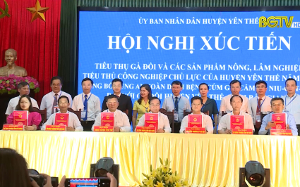 Đẩy mạnh kết nối, x&uacute;c tiến, mở rộng thị trường ti&ecirc;u thụ n&ocirc;ng sản